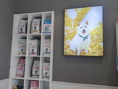 -关爱宠物医院·猫科中心·消化科(滨湖万达分院)