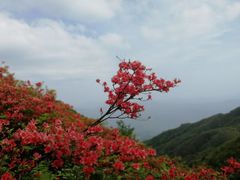 -大围山国家森林公园
