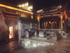 -两棵枇杷树