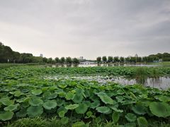 -长春市南湖公园