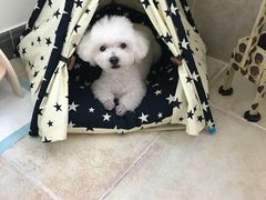 -多卡布奇宠物生活馆(上林世家店)