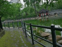 -莲湖公园
