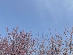 -大瓦窑(地铁站)