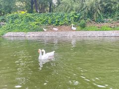 -西安汉城湖景区