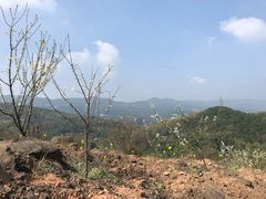 -重庆九凤瑶池海明山庄