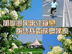 -阳澄湖半岛旅游度假区