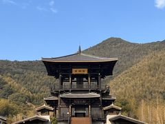 -大唐贡茶院