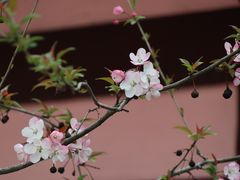 -寒山寺
