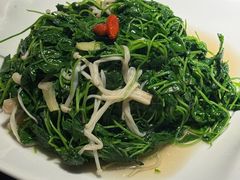 -素人记素食馆(十全街店)