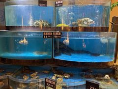 -八闽饭店闽南小镇(铁西店)