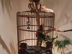 -小厨娘淮扬菜(六合欢乐港店)