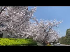 -宜北町(老城新街店)