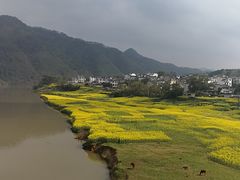 -新安江山水画廊风景区