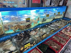 -望海潮海鲜店 特色家常菜(在海一方店)