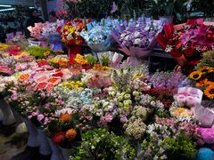 -花鸟鱼虫鲜花绿植市场(玉泉路店)