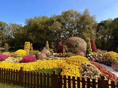 -上海共青森林公园