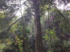 -杭州半山国家森林公园