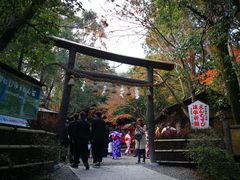 -野宫神社