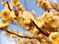 -蜀冈西峰生态公园