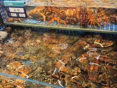 -东海怡品海鲜豆捞(舟宿夜江店)
