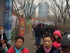 -北京石景山游乐园