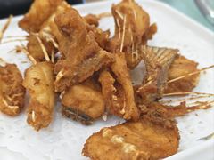 -源港渔村-中山脆肉鲩(博罗店)