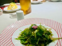 -圆苑(静安寺店)