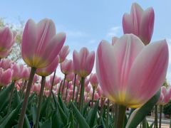 -无锡市市民中心