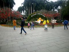 -金花茶公园