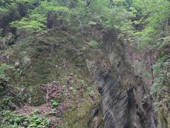 -牛背梁国家森林公园