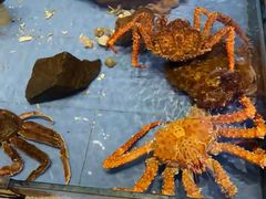 -山东八大碗山东老字号