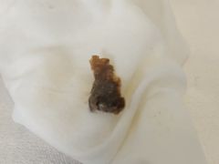 -馨越楼·点心·粤菜(赤坎店)