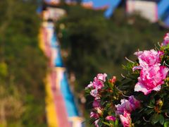 -东莞观音山旅游风景区