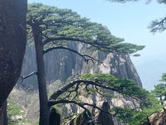 -黄山风景区