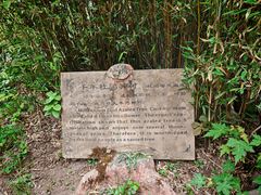 -王顺山国家森林公园