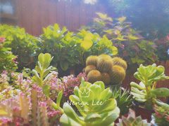 -IFIF 如果花園(宽厚里店)