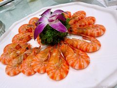 -金米箩大酒店(五角场店)