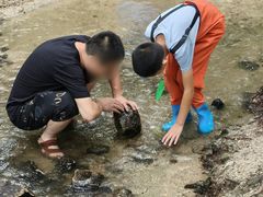 -白水寺森林公园