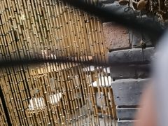 -丹江渔村(首都机场店)