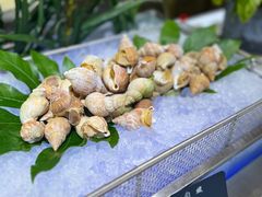 -冀粤香海鲜自助餐厅(西美五洲店)