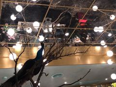 大堂-雀蓝川菜(奥体广场店)