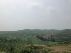 -张北坝上草原