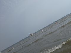 -日照海滨国家森林公园