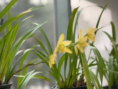 -国家植物园南园