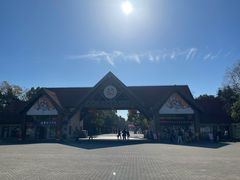 -上海海湾国家森林公园