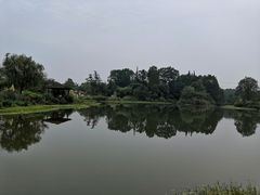 -桤木河湿地公园