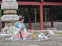 -四门塔风景区