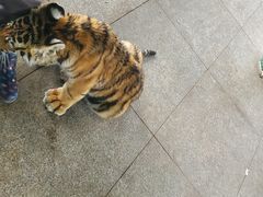 -秦皇岛野生动物园