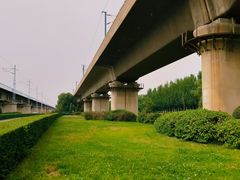 -长白岛森林公园