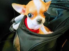 -必胜客(滨河店)